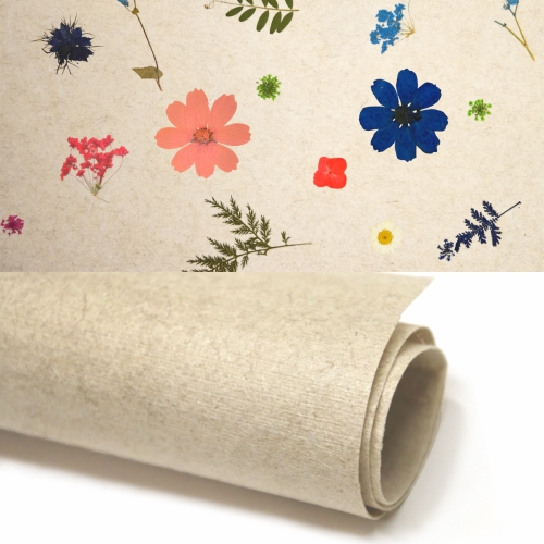 Oberfläche Superbloom